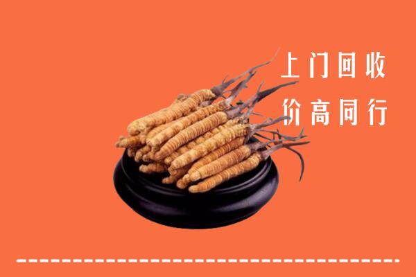 高价求购：鹤岗回收散虫草