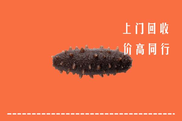 高价求购：鹤岗回收海参