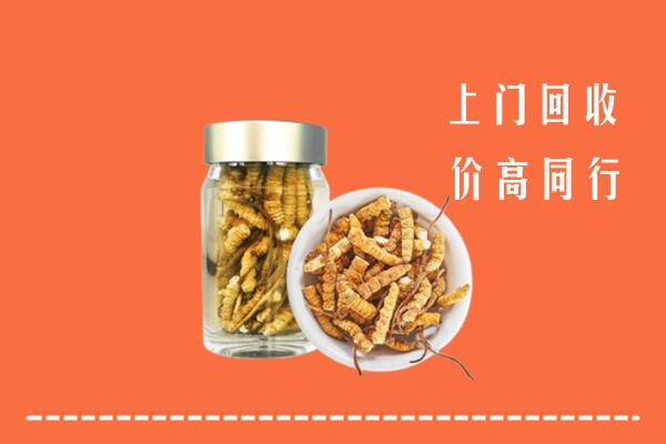 鹤岗回收冬虫夏草